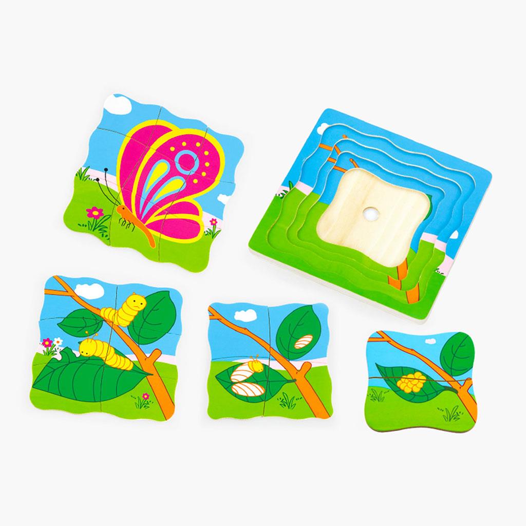 Fa puzzle Viga lepke fejlődése