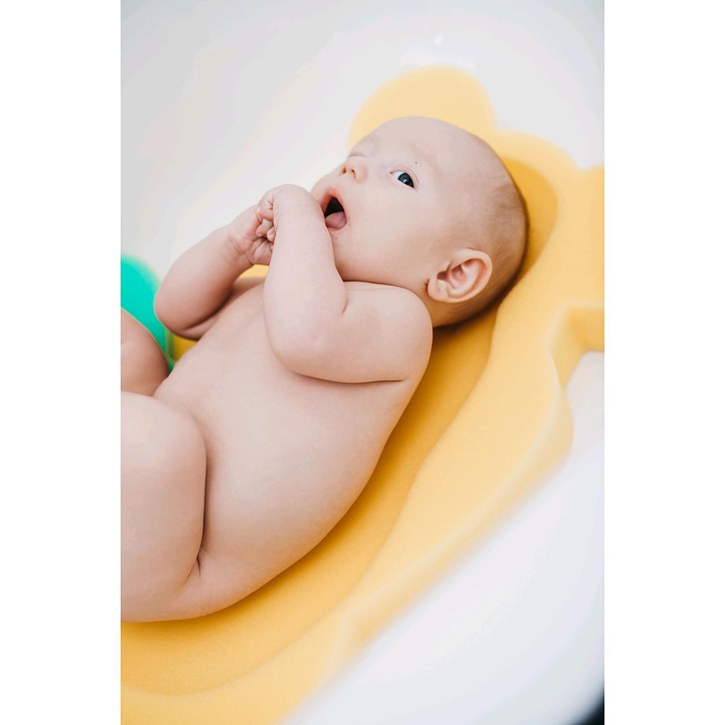 Hab alátét maxi New Baby BASIC medve lila