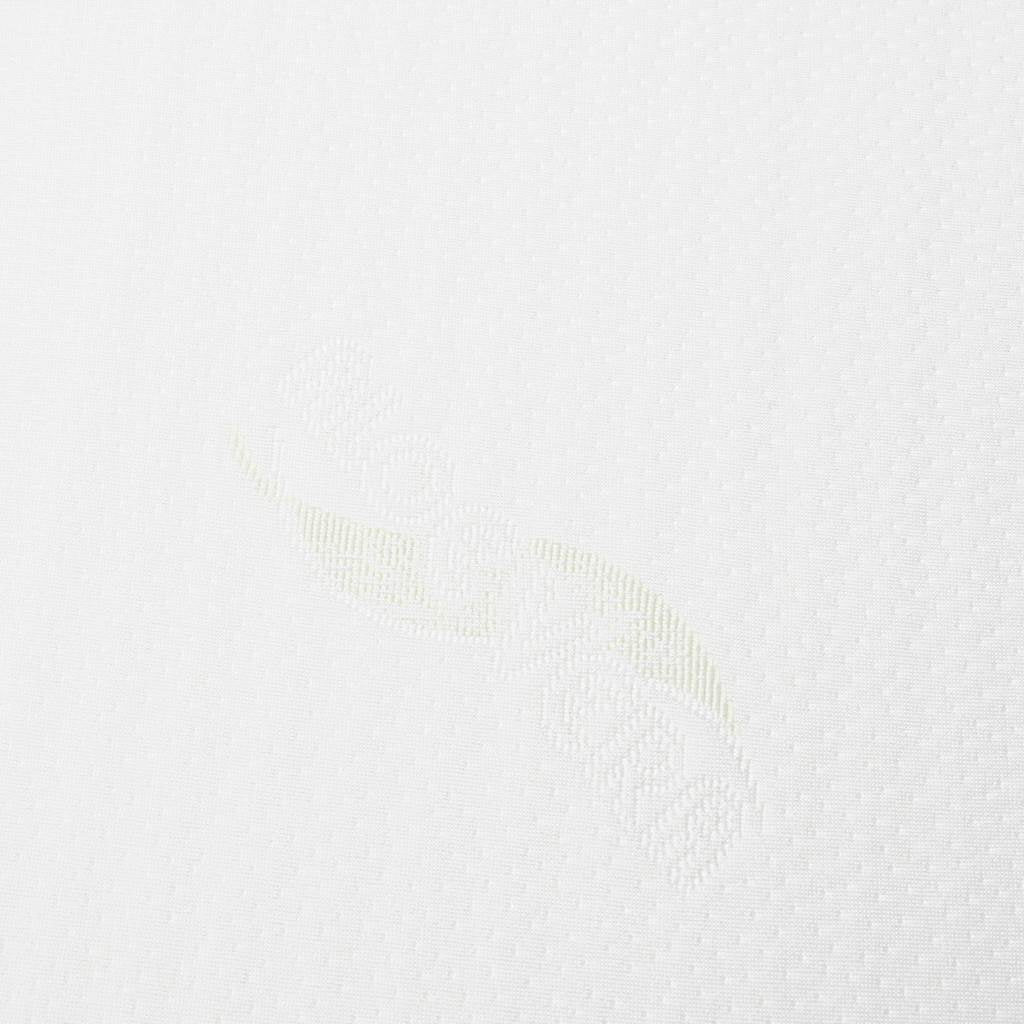 Baba párna - ék alakú New Baby STANDARD 38x30x7 cm Aloe vera